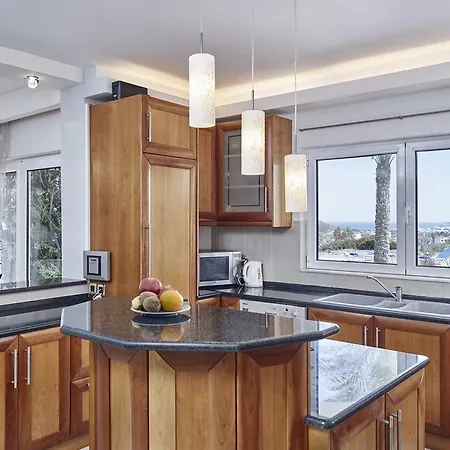 Andrealexia Sea View Villa Kalithies